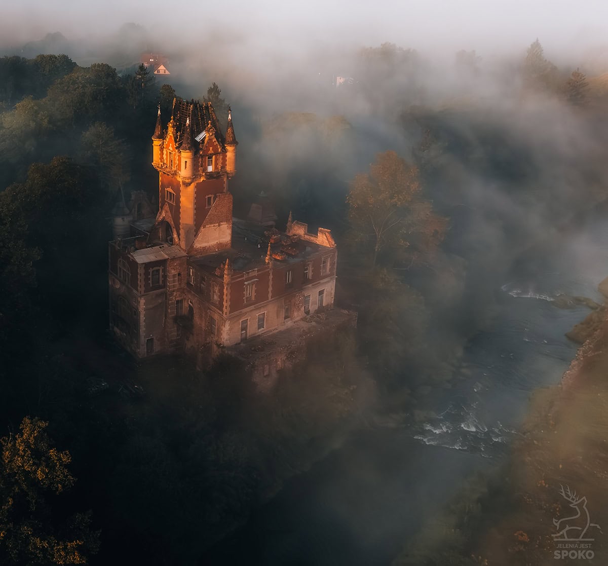 Bobrów_jelenia jest Spoko_8