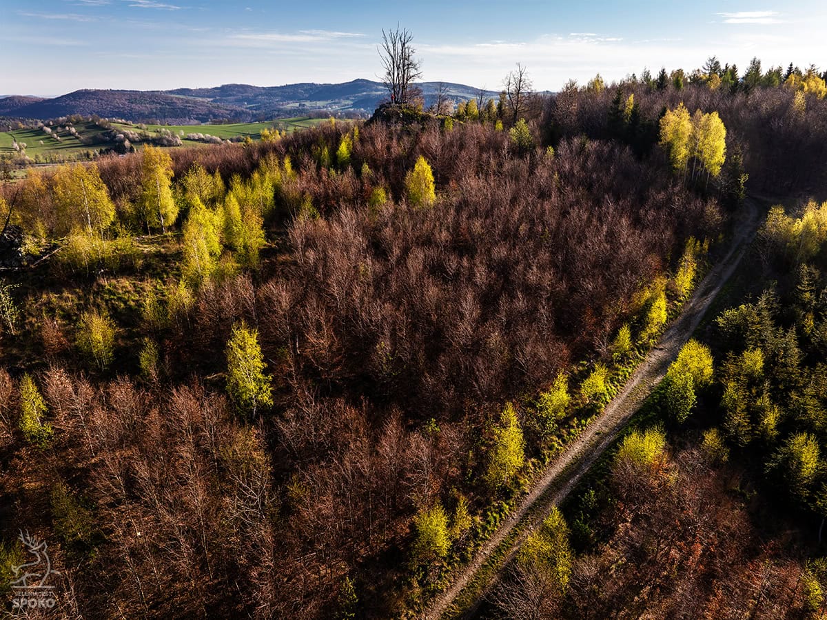 Różanka od Jelenia Jest Spoko 8