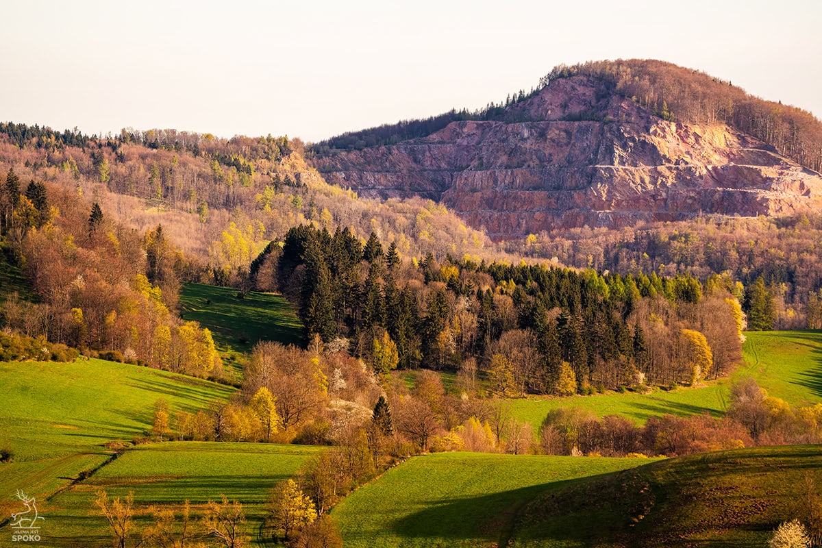 Połom od Jelenia Jest Spoko