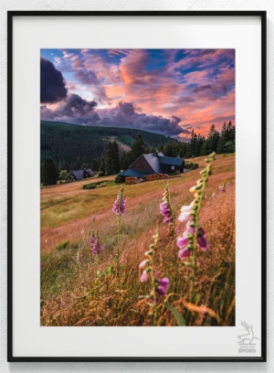 BOUDA Naparstnica 1 plakat od Jelenia jest SPOKO_wiz