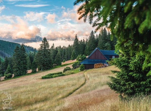 BOUDA Nikluv vrch od Jelenia jest SPOKO_full BOUDA Nikluv vrch od Jelenia jest SPOKO_full