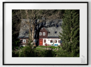 BOUDA Za drzewami plakat od Jelenia jest SPOKO_wiz