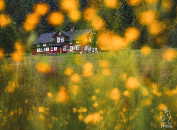 Bouda W kwiatach od Jelenia jest SPOKO_full Bouda W kwiatach od Jelenia jest SPOKO_full