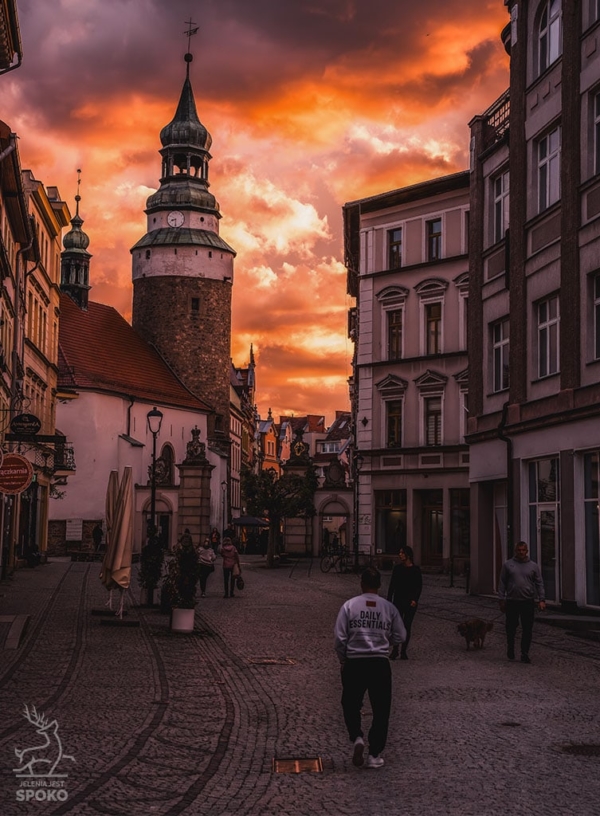 JELENIA GÓRA Ognista 2 od Jelenia jest SPOKO_full JELENIA GÓRA Ognista 2 od Jelenia jest SPOKO_full